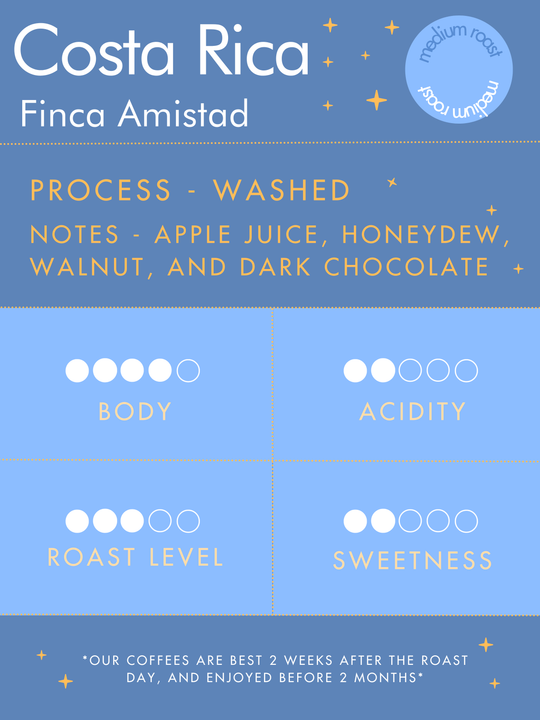 Costa Rica | Finca Amistad | Washed Process