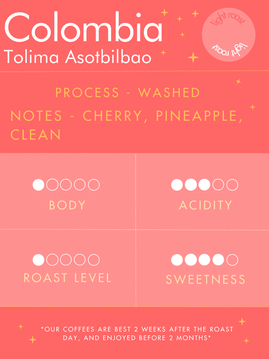 Colombia | Tolima Asotbilbao | Washed Process